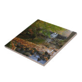 Herfst Waterfall en Creek Pennsylvania Natuur Tegeltje (Zijkant)