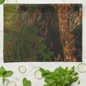 Herfst Waterfall en Creek Pennsylvania Natuur Theedoek (Gevouwen)