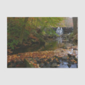 Herfst Waterfall en Creek Pennsylvania Natuur Tissuepapier (Voorkant)