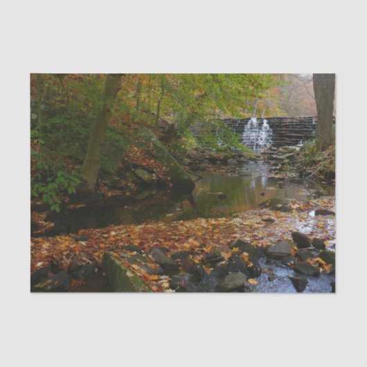Herfst Waterfall en Creek Pennsylvania Natuur Tissuepapier (Voorkant)