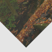 Herfst Waterfall en Creek Pennsylvania Natuur Tissuepapier (Detail)