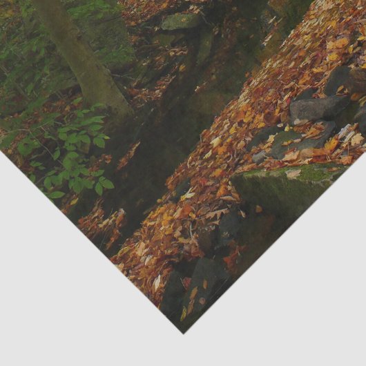 Herfst Waterfall en Creek Pennsylvania Natuur Tissuepapier (Detail)