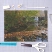 Herfst Waterfall en Creek Pennsylvania Natuur Tissuepapier (Craft)