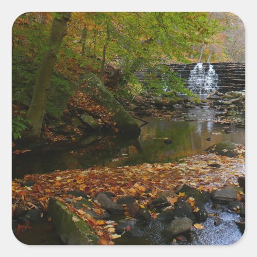 Herfst Waterfall en Creek Pennsylvania Natuur Vierkante Sticker (Voorkant)