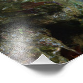 Herfst Waterfall Foto Afdruk (Hoek)