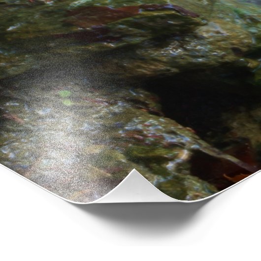 Herfst Waterfall Foto Afdruk (Hoek)