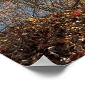 Herfst Waterscape Foto Poster (Hoek)