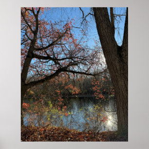 Herfst Waterscape Foto Poster