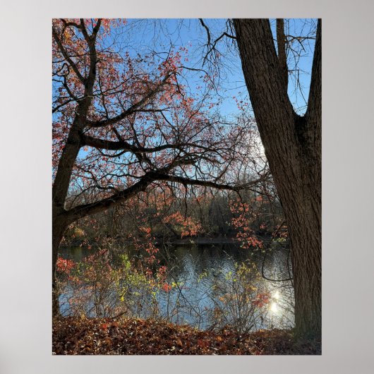 Herfst Waterscape Foto Poster (Voorkant)