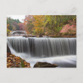 Herfst Waterval bij Vanderbuilt Briefkaart (Voorkant)