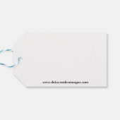 Herfst Waterval bij Vanderbuilt Cadeaulabel (Achterkant Horizontaal)