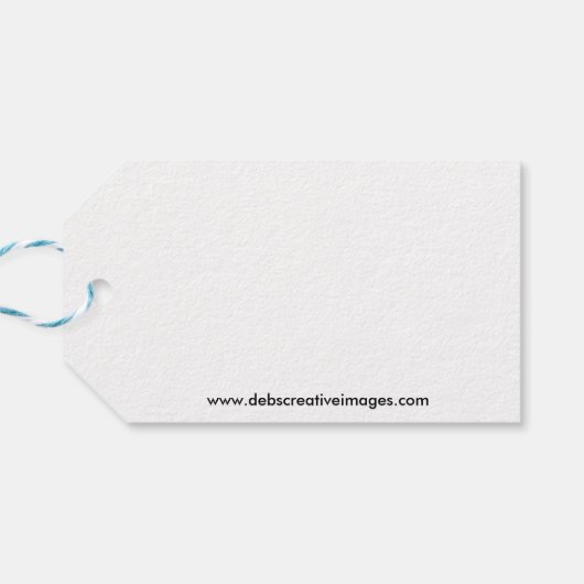 Herfst Waterval bij Vanderbuilt Cadeaulabel (Achterkant Horizontaal)