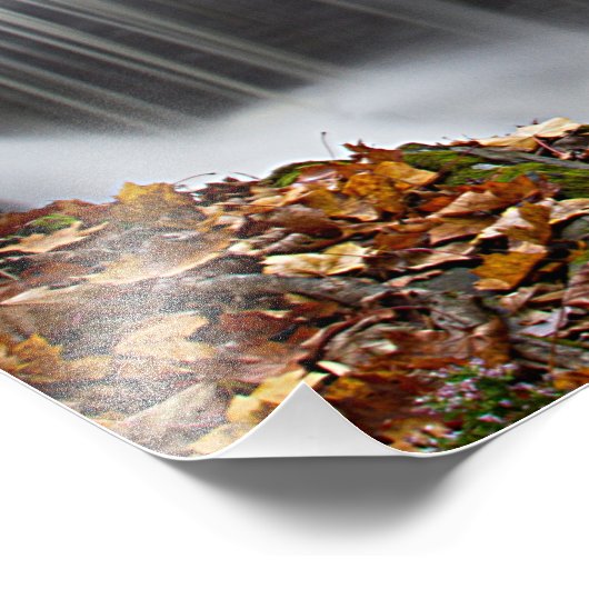 Herfst Waterval bij Vanderbuilt Foto Afdruk (Hoek)