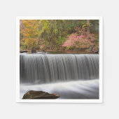 Herfst Waterval bij Vanderbuilt Servetten (Voorkant)