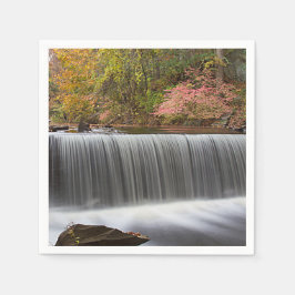 Herfst Waterval bij Vanderbuilt Servetten