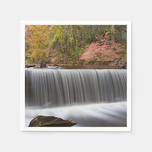 Herfst Waterval bij Vanderbuilt Servetten (Voorkant)