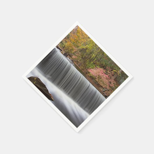 Herfst Waterval bij Vanderbuilt Servetten (Hoek)