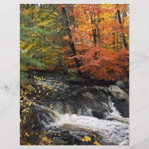 Herfst Waterval Flyer