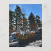 Herfst Waterval Hoge Herfsten Fotografisch NC Briefkaart (Voorkant)