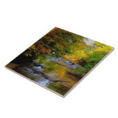 Herfst waterval in de ochtendzon tegeltje (Zijkant)