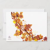 Herfst-waterval Save-the-Date-aankondiging Save The Date (Achterkant)