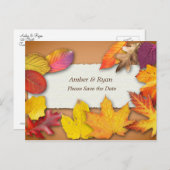 Herfst Wedden, de Kleuren van de Daling, sparen de Briefkaart (Voorkant / Achterkant)