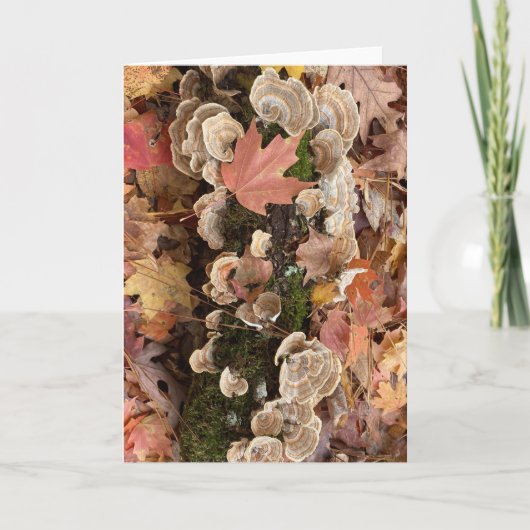 Herfst wenskaart (blanco binnen) kaart (Voorkant)