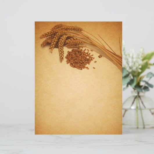  herfst Wheat Corn - Letterhead Stationery (Staand voorkant)