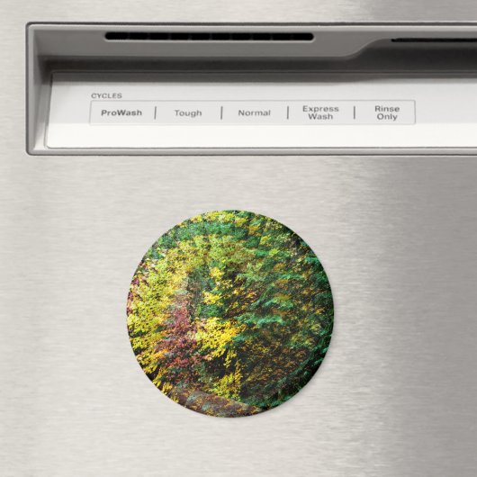 Herfst Whirlwind...... Magneet (Insitu (Vaatwasser))