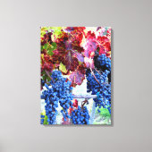 Herfst Wijngaard Blauwe druiven Rode bladeren Foto Canvas Afdruk (Voorkant)