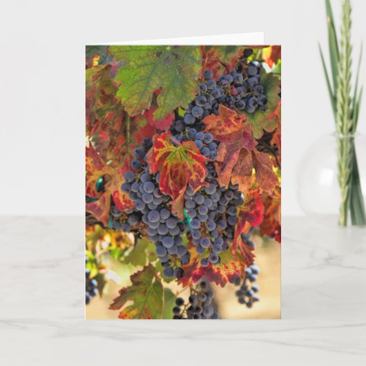  Herfst Wijngaarden Kaart (Voorkant)
