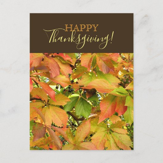 Herfst wilde wijnstok bladeren Happy Thanksgiving Feestdagenkaart (Voorkant)