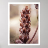 herfst Wildflower Gezellige Vrouwelijke Boerderij Poster (Voorkant)