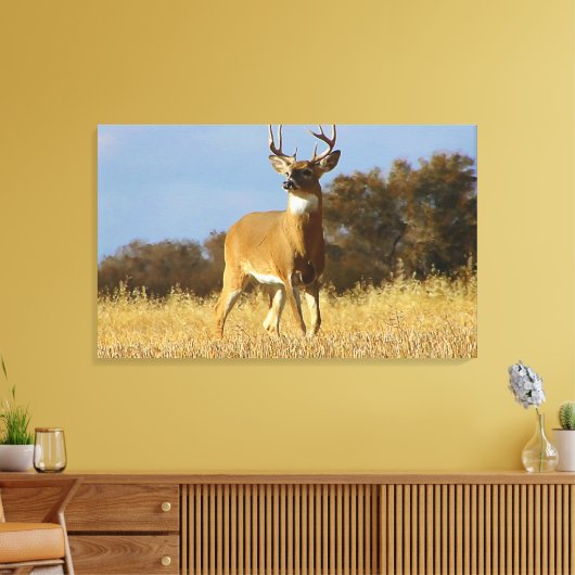 Herfst Witstaarthert Canvas Afdruk (Insitu (Woonkamer))