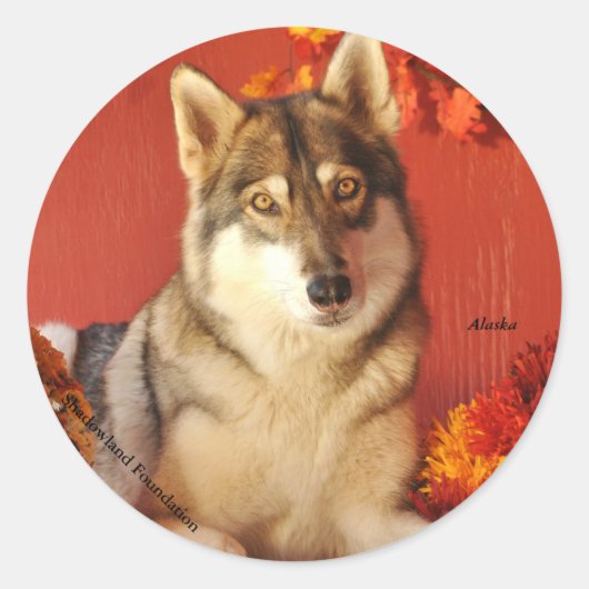 Herfst Wolf Sticker (Voorkant)