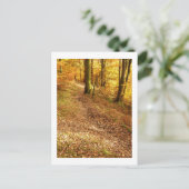 Herfst Woodland: Cumbria Briefkaart (Staand voorkant)