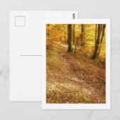 Herfst Woodland: Cumbria Briefkaart (Voorkant / Achterkant)