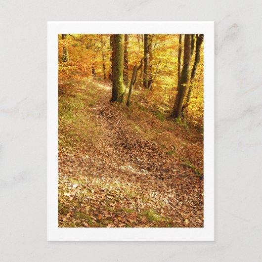 Herfst Woodland: Cumbria Briefkaart (Voorkant)