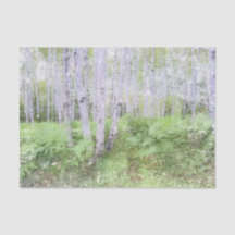 Herfst Woodland Fern — Boombomen met verst bos