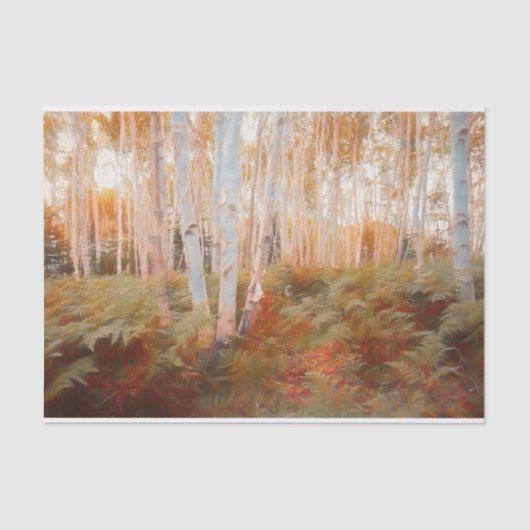 Herfst Woodland Fern Forest Birch Trees Art Tissuepapier (Voorkant)
