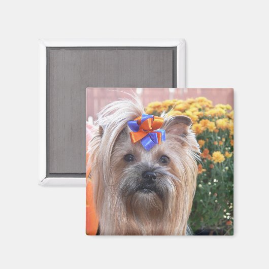 Herfst Yorkie Fun Magneet (Voorkant / Achterkant)