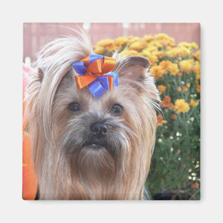 Herfst Yorkie Fun Magneet