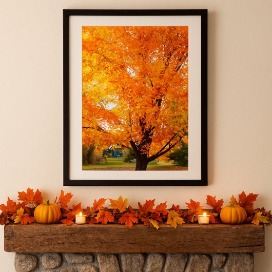 Herfst Zilver Esdoorn Boom Foto Print Poster