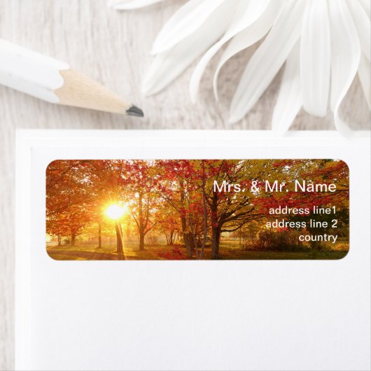 Herfst zonlicht door herfstbomen etiket (Insitu)