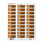 Herfst zonlicht door herfstbomen etiket (Full Sheet)