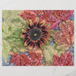  herfst zonnebloem Rustic Brown Maple Leaves