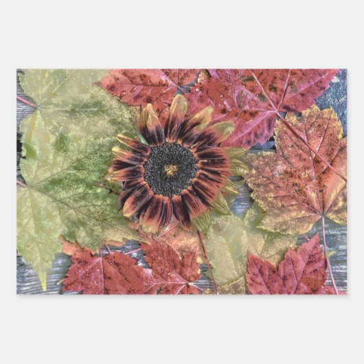  herfst zonnebloem Rustic Brown Maple Leaves Inpakpapier Vel (Voorkant)