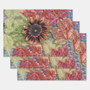 herfst zonnebloem Rustic Brown Maple Leaves Inpakpapier Vel