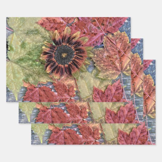 herfst zonnebloem Rustic Brown Maple Leaves Inpakpapier Vel (Set)