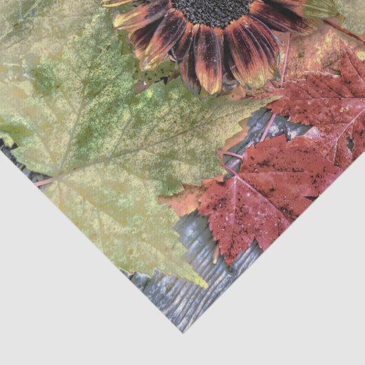 herfst zonnebloem Rustic Brown Maple Leaves Tissuepapier (Detail)